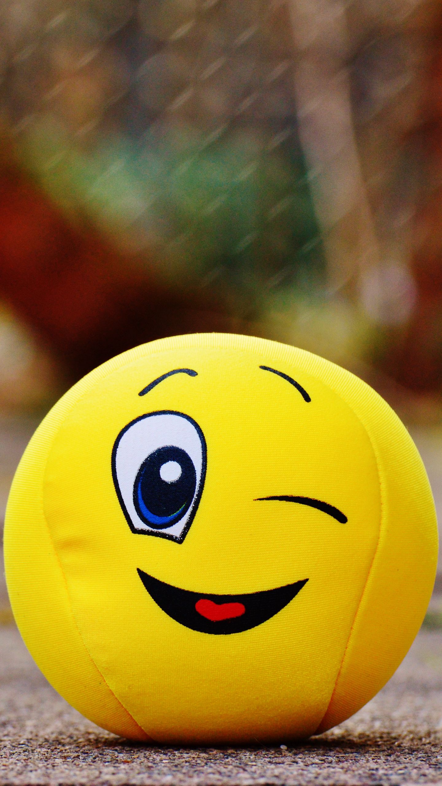 1440x2560 Wallpaper ball, smile, happy, toy