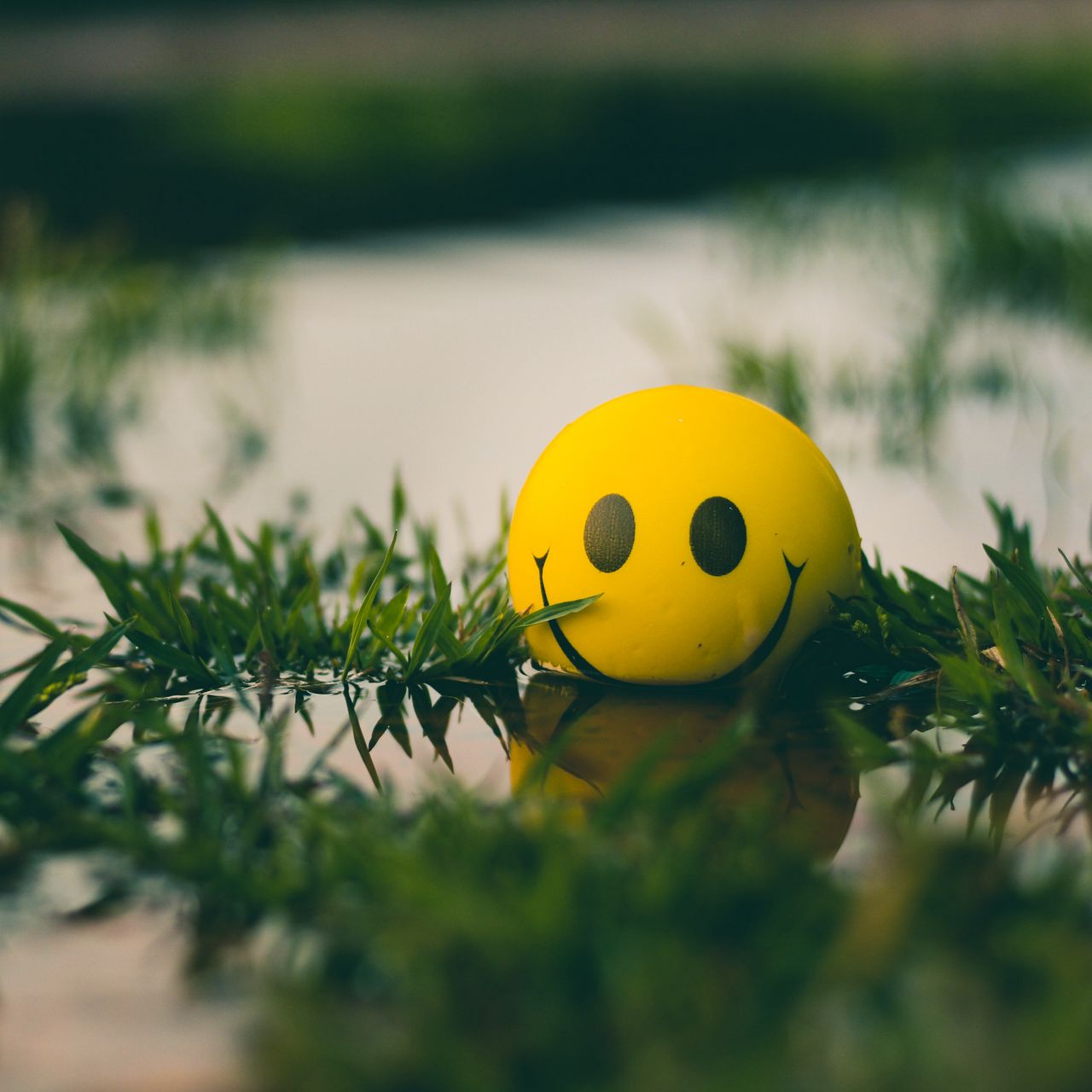 1280x1280 Wallpaper ball, smile, smiley, grass, water
