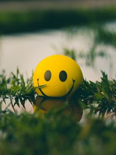 Download wallpaper 240x320 ball, smile, smiley, grass, water old mobile,  cell phone, smartphone hd background