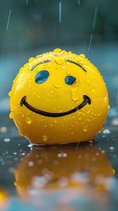 Preview wallpaper ball, smiley, smile, rain, drops