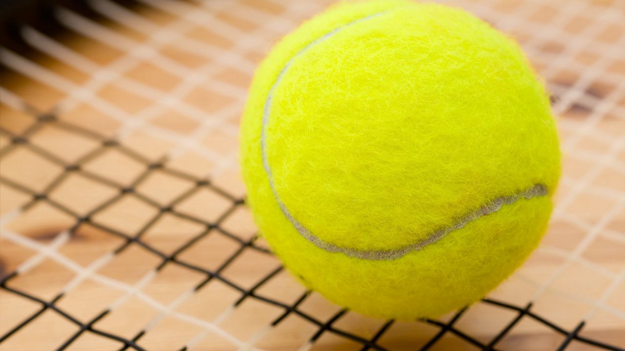 Wallpaper ball, tennis, sports
