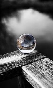 Preview wallpaper ball, tree, reflection, wooden