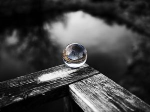 Preview wallpaper ball, tree, reflection, wooden