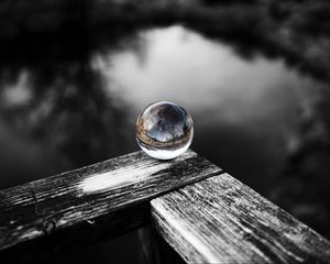 Preview wallpaper ball, tree, reflection, wooden