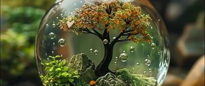 Preview wallpaper ball, tree, transparent, bubbles, landscape