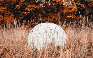 Preview wallpaper ball, white, grass, trees, nature