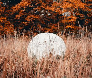 Preview wallpaper ball, white, grass, trees, nature