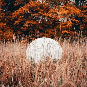 Preview wallpaper ball, white, grass, trees, nature