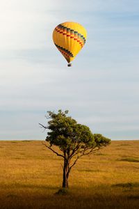 Preview wallpaper balloon, flight, tree, horizon