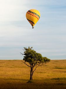 Preview wallpaper balloon, flight, tree, horizon