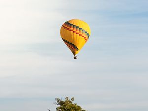 Preview wallpaper balloon, flight, tree, horizon