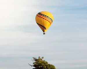 Preview wallpaper balloon, flight, tree, horizon