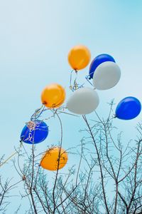 Preview wallpaper balloons, colorful, branches, tree, sky