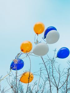 Preview wallpaper balloons, colorful, branches, tree, sky