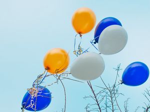 Preview wallpaper balloons, colorful, branches, tree, sky
