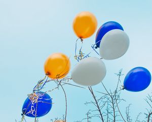 Preview wallpaper balloons, colorful, branches, tree, sky