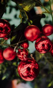 Preview wallpaper balls, decoration, red, new year, christmas