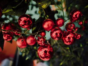 Preview wallpaper balls, decoration, red, new year, christmas