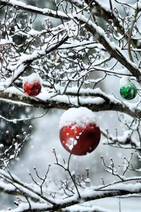 Preview wallpaper balls, twigs, new year, snow