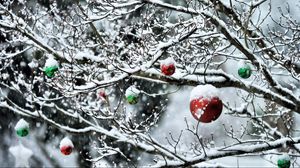 Preview wallpaper balls, twigs, new year, snow