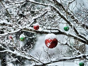 Preview wallpaper balls, twigs, new year, snow