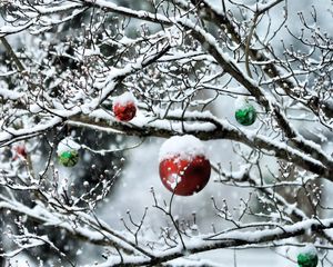 Preview wallpaper balls, twigs, new year, snow