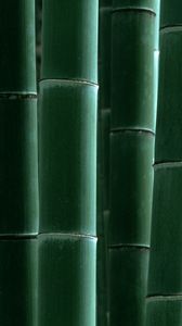 Preview wallpaper bamboo, green, strips