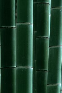 Preview wallpaper bamboo, green, strips