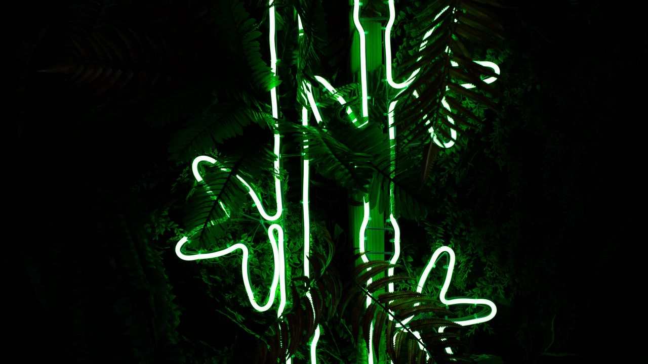 Wallpaper bamboo, neon, light, plant, green