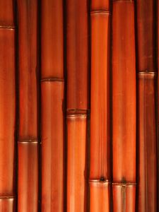 Preview wallpaper bamboo, stems, plant, texture, brown