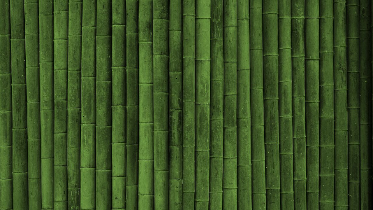 Wallpaper bamboo, stick, green, vertical