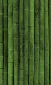 Preview wallpaper bamboo, stick, green, vertical