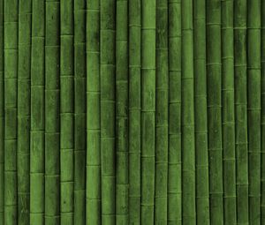 Preview wallpaper bamboo, stick, green, vertical