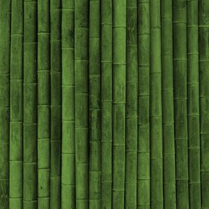 Preview wallpaper bamboo, stick, green, vertical