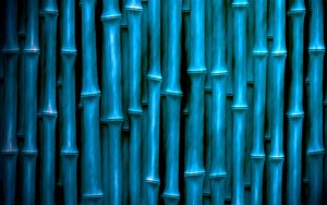 Preview wallpaper bamboo, sticks, vertical