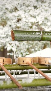 Preview wallpaper bamboo, water, ice, snow, winter