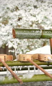 Preview wallpaper bamboo, water, ice, snow, winter