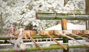 Preview wallpaper bamboo, water, ice, snow, winter