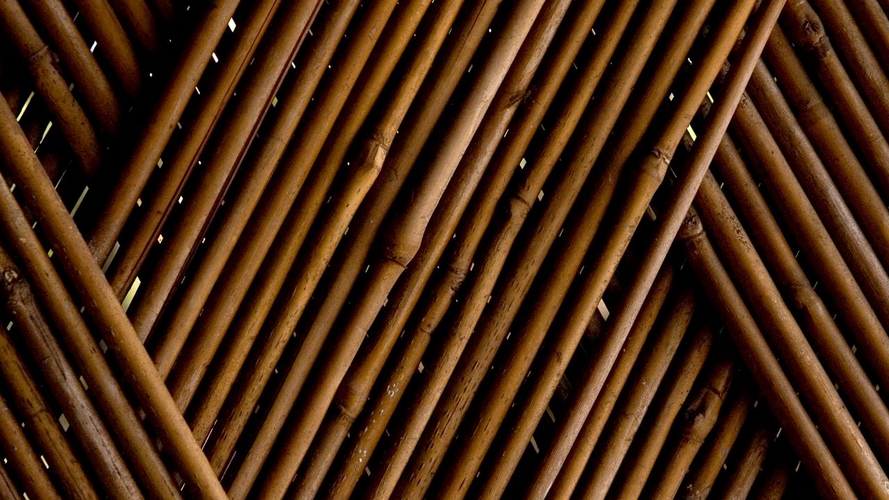 Wallpaper bamboo, wood, tilt, texture, brown
