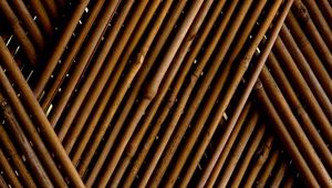 Preview wallpaper bamboo, wood, tilt, texture, brown