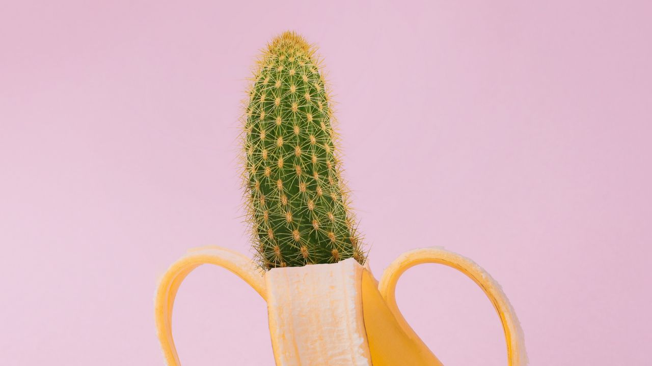 Wallpaper banana, cactus, creative, minimalism