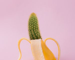 Preview wallpaper banana, cactus, creative, minimalism