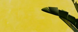 Preview wallpaper banana palm, leaves, plant, wall, yellow