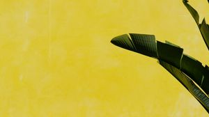 Preview wallpaper banana palm, leaves, plant, wall, yellow