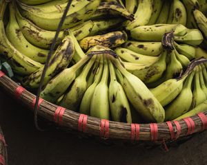 Preview wallpaper bananas, bunch, fruit