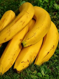 Preview wallpaper bananas, fruit, ripe, grass