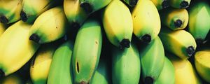 Preview wallpaper bananas, fruits, many