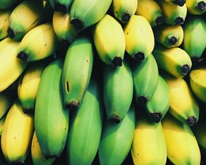Preview wallpaper bananas, fruits, many