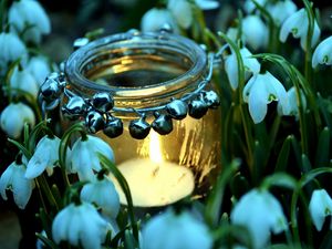 Preview wallpaper bank, candle, flowers, snowdrops
