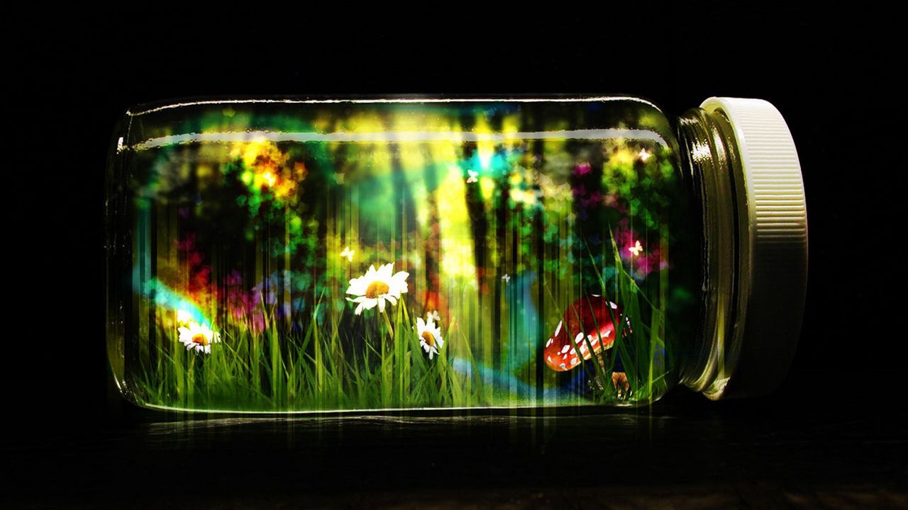 Wallpaper bank, glass, cap, butterflies, nature, fantasy